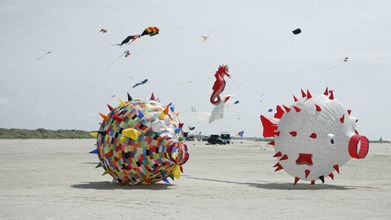 Dragebolde på Fanø Dragefestival