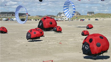 Mariehøner som drager på Fanø Dragefestival